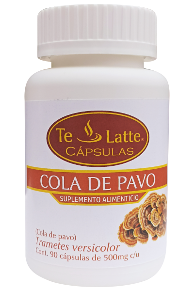 Te Latte Café - Cápsulas  de Trametes versicolor , cola de pavo
